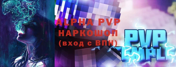 прущие грибы Костерёво