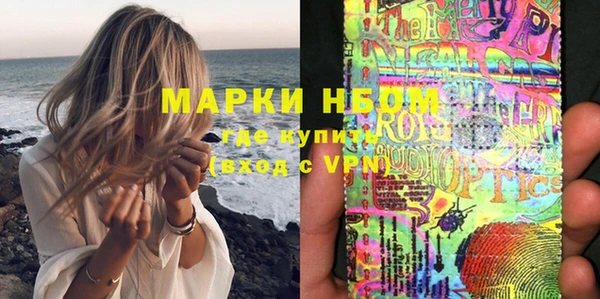 прущие грибы Костерёво