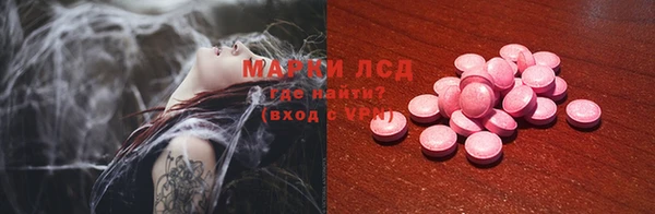 прущие грибы Корсаков