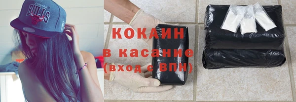 прущие грибы Костерёво