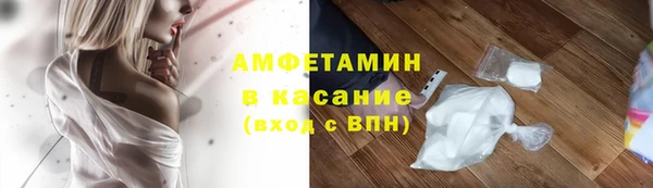 прущие грибы Корсаков