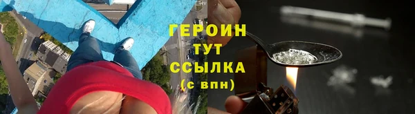 прущие грибы Корсаков
