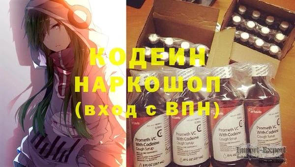 прущие грибы Костерёво