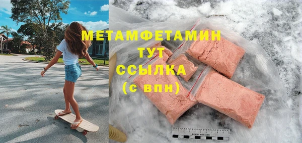 прущие грибы Корсаков