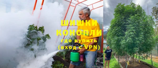 прущие грибы Костерёво