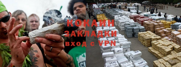 прущие грибы Корсаков