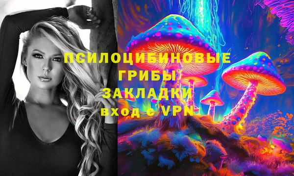 прущие грибы Корсаков