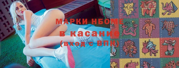 прущие грибы Корсаков