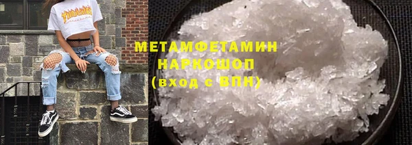 прущие грибы Костерёво