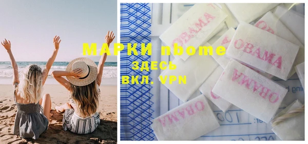 прущие грибы Костерёво