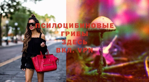 прущие грибы Костерёво