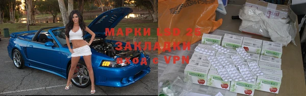 прущие грибы Костерёво