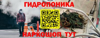 шишки Конаково