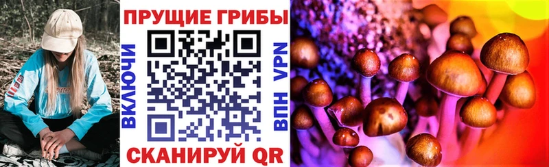 маркетплейс официальный сайт  Хасавюрт  Галлюциногенные грибы Psilocybine cubensis 