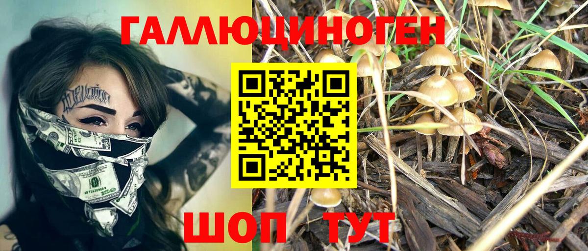 Псилоцибиновые грибы мухоморы Хасавюрт