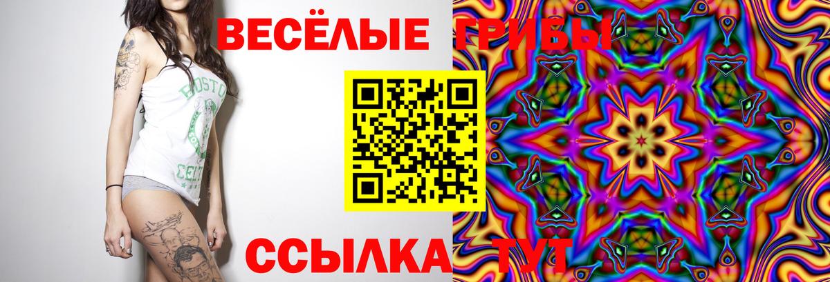 Хасавюрт  Псилоцибиновые грибы Psilocybe  цена   Вход с VPN 