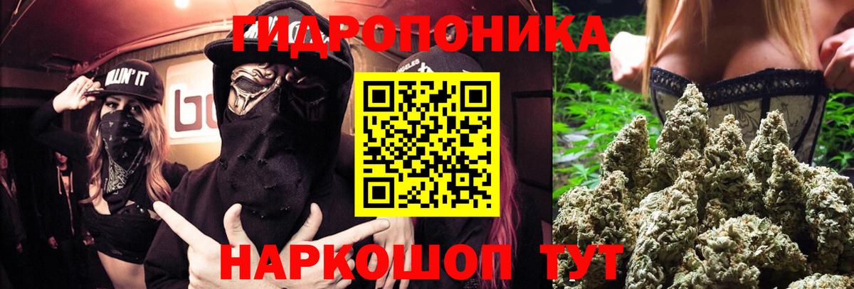 Хасавюрт  Канабис планчик  Вход с VPN  Канабис сатива  Бошки Шишки White Widow 